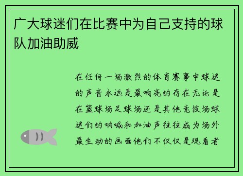 广大球迷们在比赛中为自己支持的球队加油助威