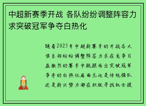 中超新赛季开战 各队纷纷调整阵容力求突破冠军争夺白热化