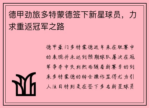德甲劲旅多特蒙德签下新星球员，力求重返冠军之路